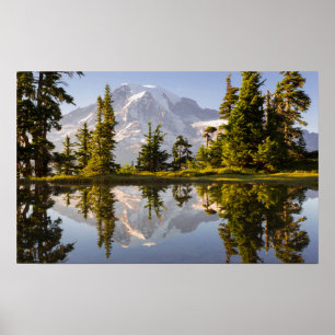 Mt. Rainier reflected in a tarn near Plummer Peak Poster