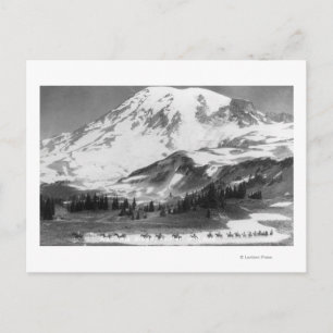 Mt. Rainier, WA Crossing Mazama Ridge on Horse Postcard