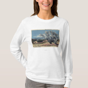 Mt. San Gorgonio View, Smoke Trees T-Shirt