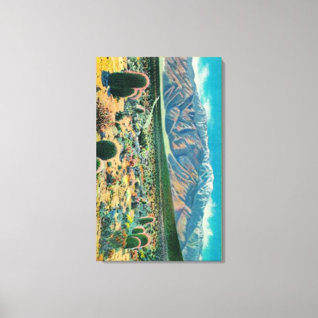 Mt. San Jacinto from Devil's Garden Canvas Print (Front)