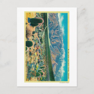 Mt. San Jacinto from Devil's Garden Postcard