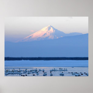 Mt. Shasta California Poster