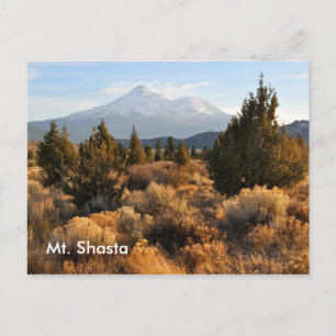 Mt. Shasta in the Fall Postcard