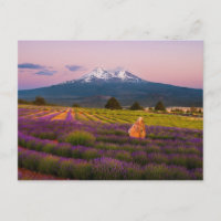 Mt. Shasta Lavender Sunset...