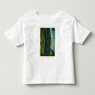 Mt. Shasta View from Shasta CityShasta, CA Toddler T-Shirt