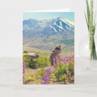 Mt. St. Helens