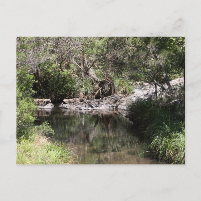 Mt Tamborine #3 Postcard (Front)