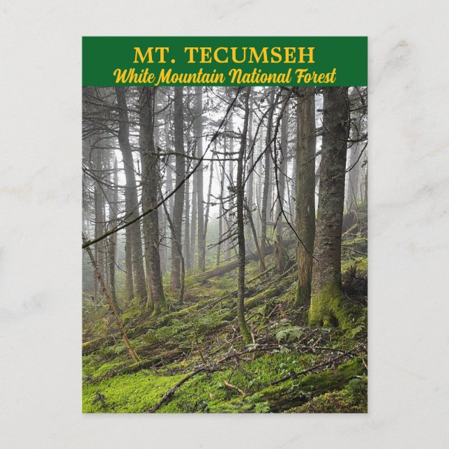 Mt. Tecumseh White Mountains Postcard (Front)