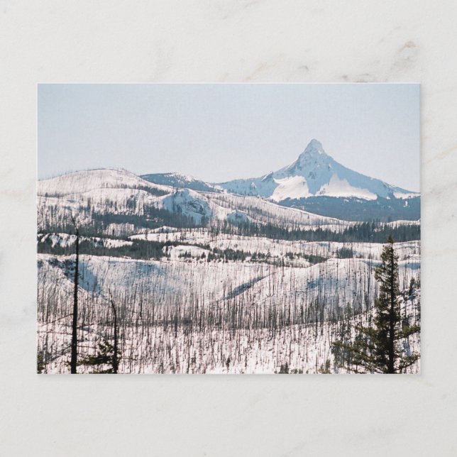 Mt. Washington from Santiam Pass Postcard (Front)