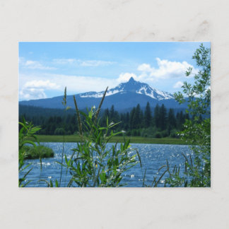 Mt. Washington Postcard