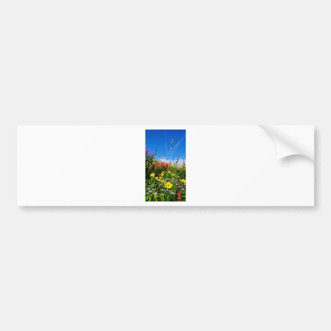 Mt. Wildflowers Bumper Sticker (Front)
