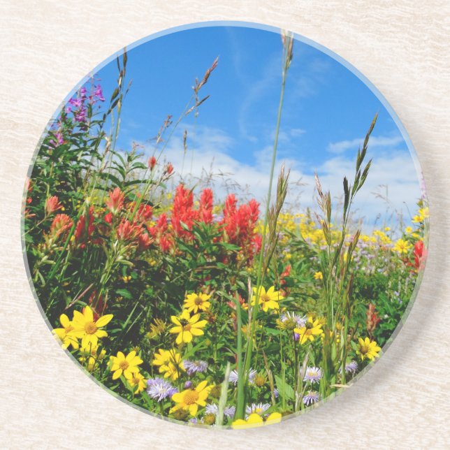 Mt. Wildflowers Coaster (Front)