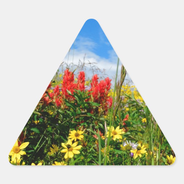 Mt. Wildflowers Triangle Sticker (Front)