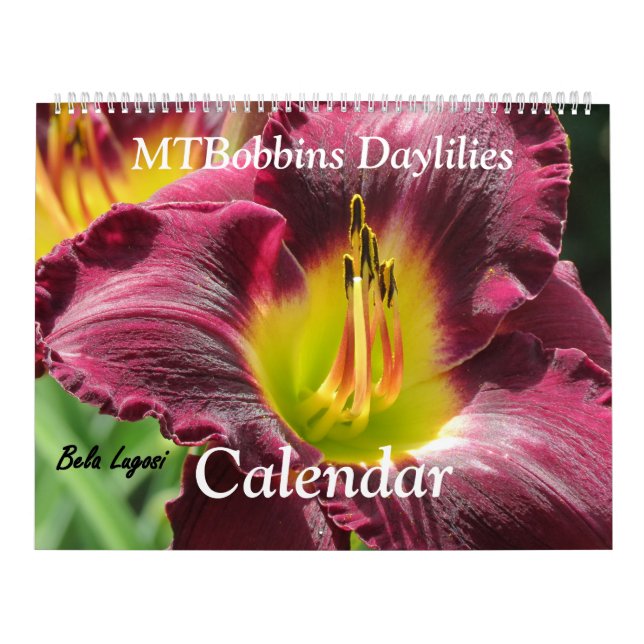 MTBobbins Daylilies - With Names - Large Calendar (Cover)