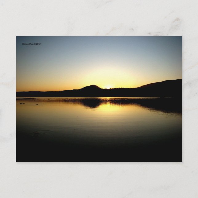 MTV 10 POSTCARD (Front)