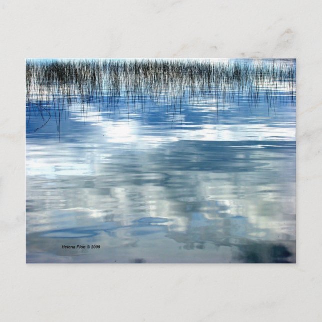 MTV 6 POSTCARD (Front)