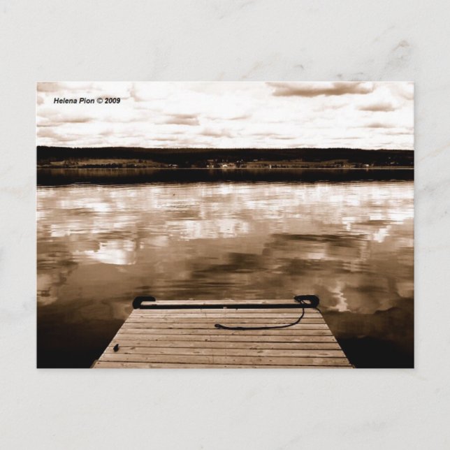 MTV 8 POSTCARD (Front)