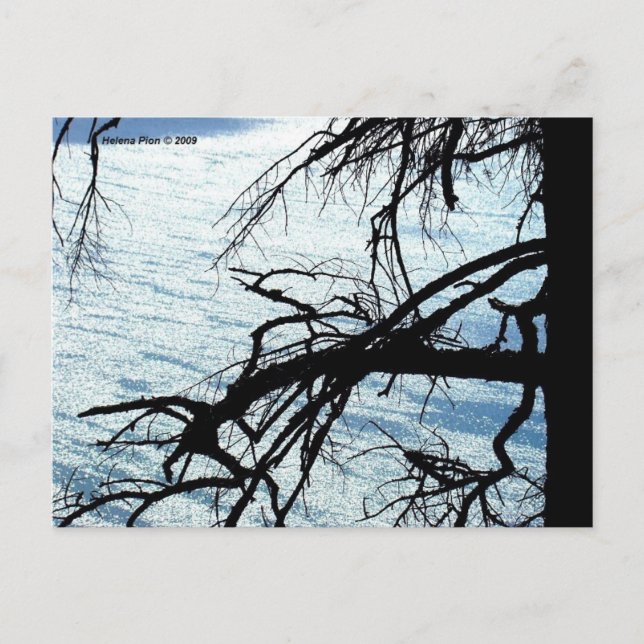 MTV 9 POSTCARD (Front)