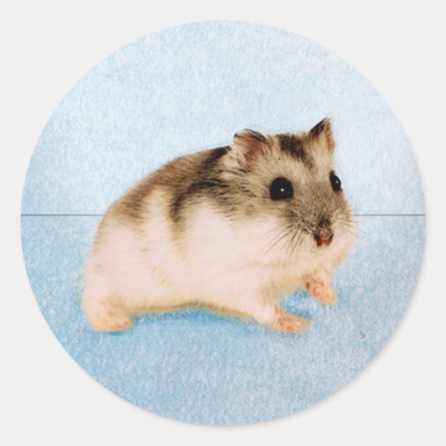 Mu Mu the Hamster Classic Round Sticker (Front)