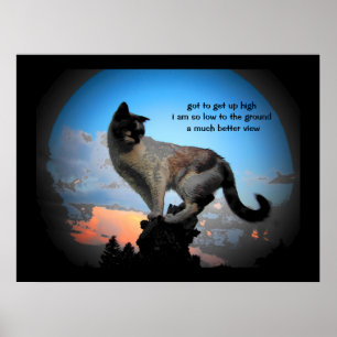Much Better View Cat Haiku Poster