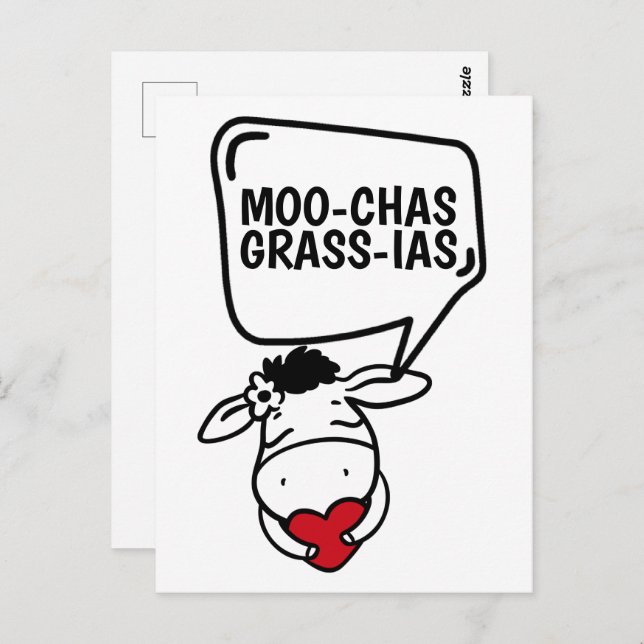 Muchas Gracias Cow Themed Many Thanks Funny Postcard (Front/Back)