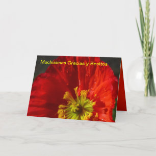 Muchísimas Gracias y Besitos Thank You Card