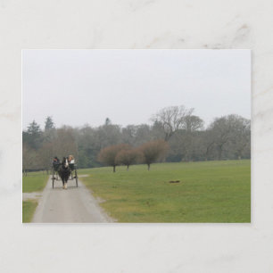 Muckross House, Killarney Ireland Postcard