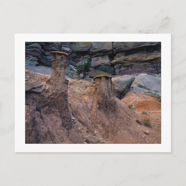 "Mud Caps" Postcard (Front)