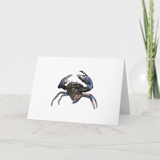 Mud crab or mangrove crab (Scylla serrata) Card (Front)