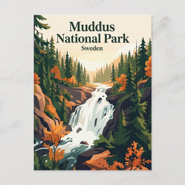 Muddus National Park Sweden Postcard (Front)