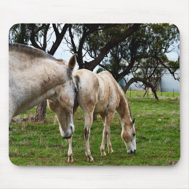 Muddy White Horses, Mouse Pad (Front)
