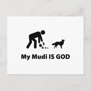 Mudi Postcard