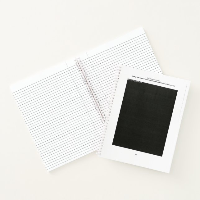 Mueller Report Redacted Page 30 HOM Notebook (Inside)