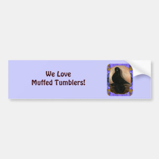 Muffed Tumbler Pigeon Framed Bumper Sticker