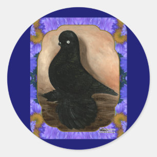 Muffed Tumbler Pigeon Framed Classic Round Sticker