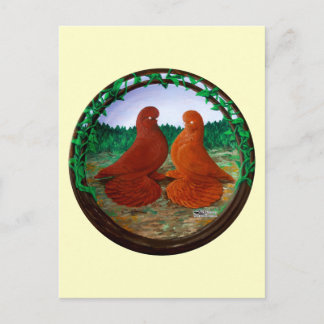 Muffed Tumbler Pigeons2 Postcard