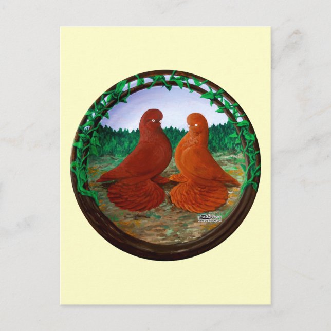 Muffed Tumbler Pigeons2 Postcard (Front)
