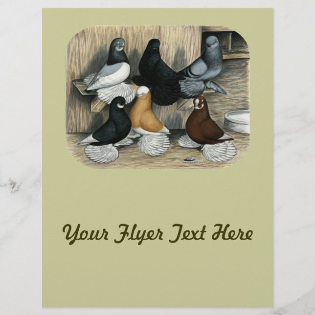 Muffed Tumbler Pigeons Flyer (Front)