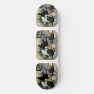Muffed Tumbler Pigeons Skateboard