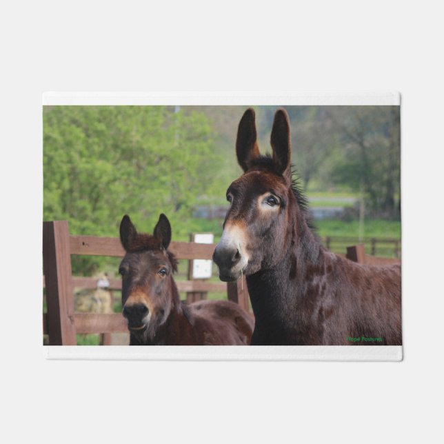 Muffin & Coco Door Mat (Front)