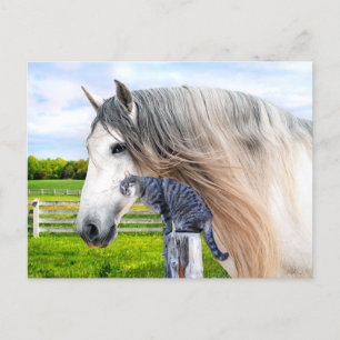 "Muffin & Saraband" Postcard