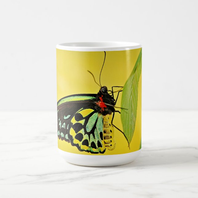Mug (Center)