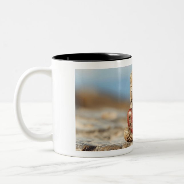 mug (Left)