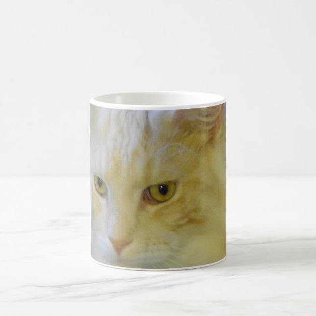 Mug Coffee Pet Maine Coon Cat Bentley (Center)