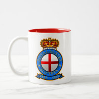 Mug for Royal Sussex Society 20th Anniversary