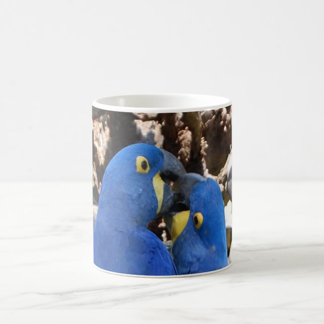 mug _ parrots (Center)