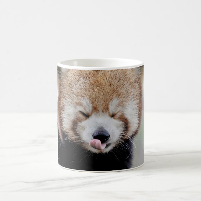 Mug Photo red panda , animals . coffee mug (Center)