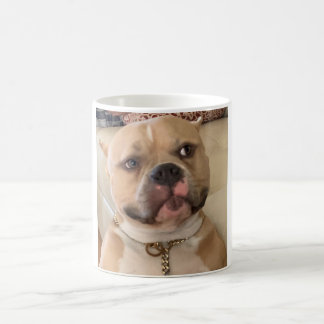 Mug “Service Dog”