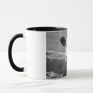 Mug The laughing cow