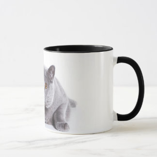 mug whit cat